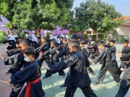 Pencak Silat